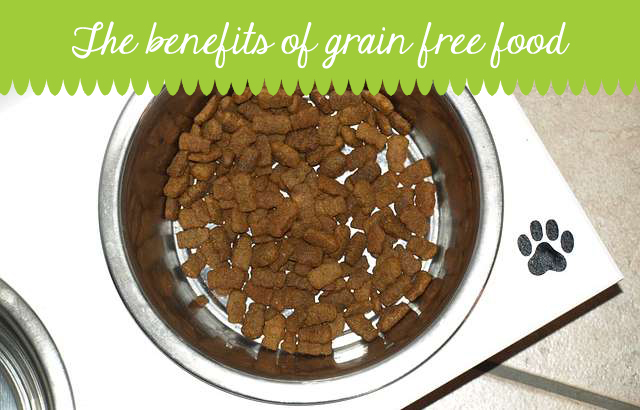 Benefits of grain free dog food